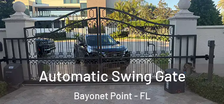 Automatic Swing Gate Bayonet Point - FL