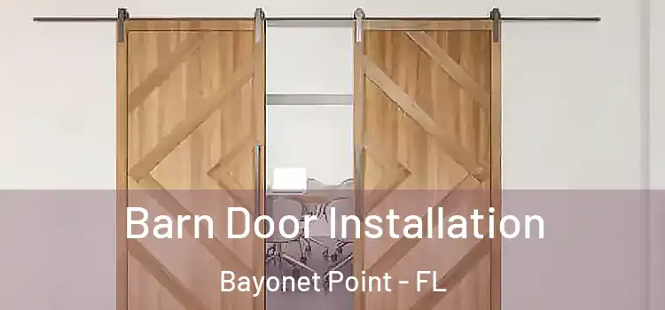 Barn Door Installation Bayonet Point - FL