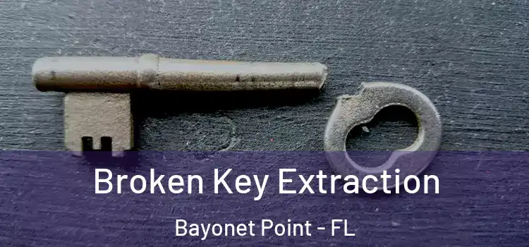Broken Key Extraction Bayonet Point - FL