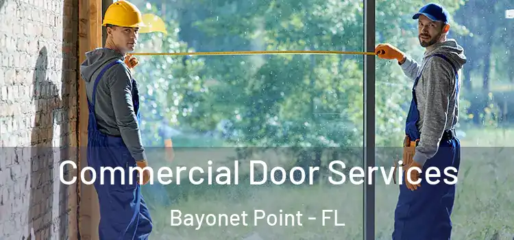 Commercial Door Services Bayonet Point - FL