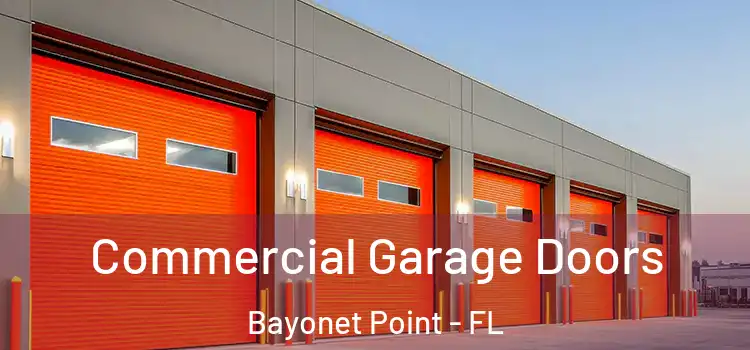  Commercial Garage Doors Bayonet Point - FL