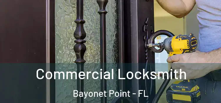 Commercial Locksmith Bayonet Point - FL
