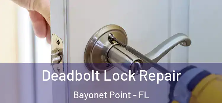 Deadbolt Lock Repair Bayonet Point - FL