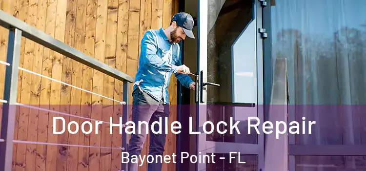 Door Handle Lock Repair Bayonet Point - FL