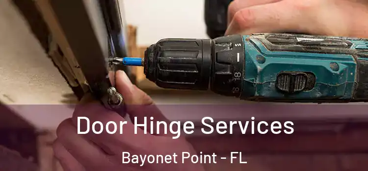 Door Hinge Services Bayonet Point - FL