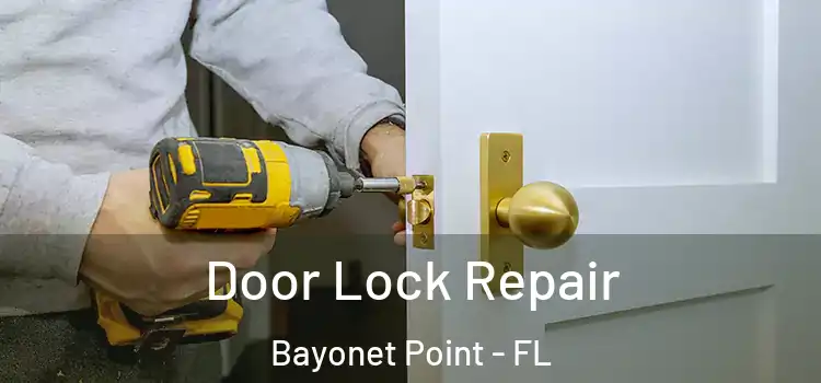Door Lock Repair Bayonet Point - FL