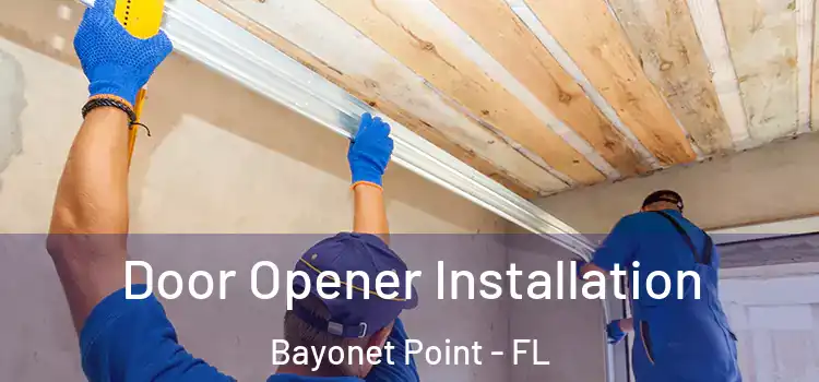 Door Opener Installation Bayonet Point - FL