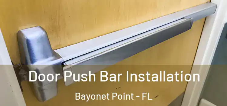 Door Push Bar Installation Bayonet Point - FL