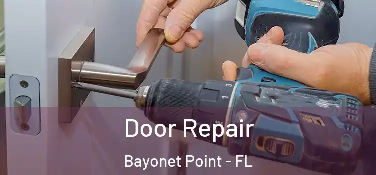 Door Repair Bayonet Point - FL