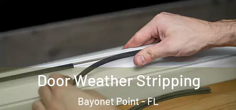 Door Weather Stripping Bayonet Point - FL