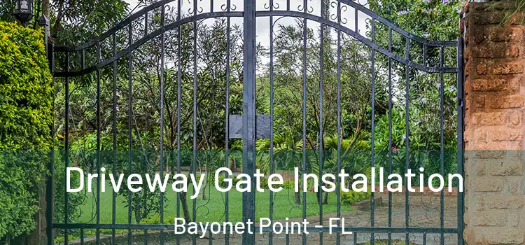Driveway Gate Installation Bayonet Point - FL