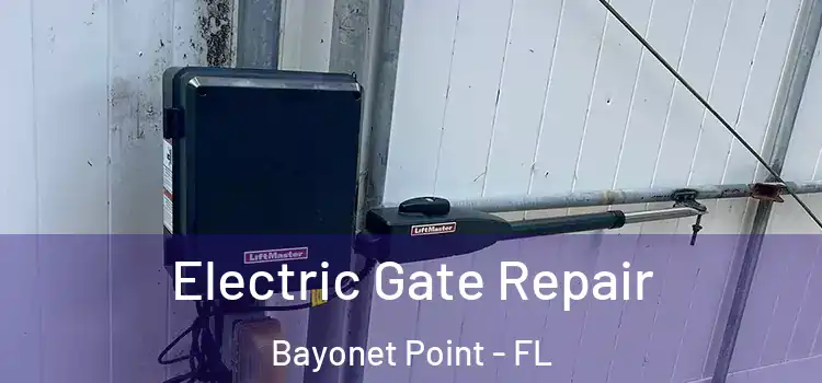 Electric Gate Repair Bayonet Point - FL