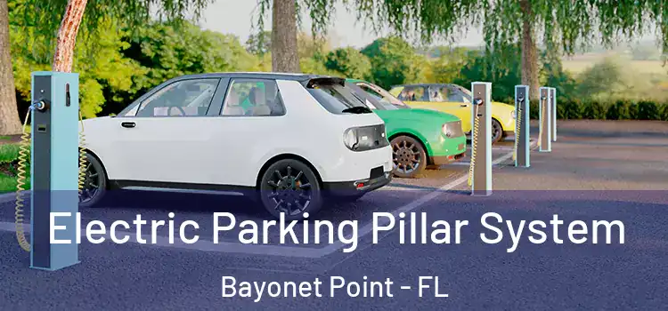 Electric Parking Pillar System Bayonet Point - FL
