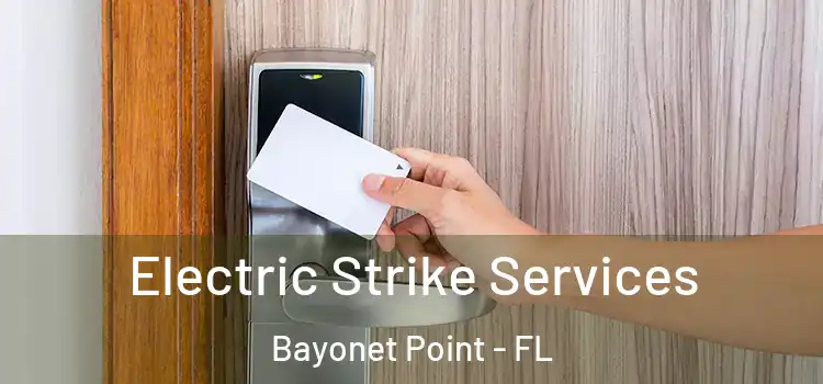 Electric Strike Services Bayonet Point - FL