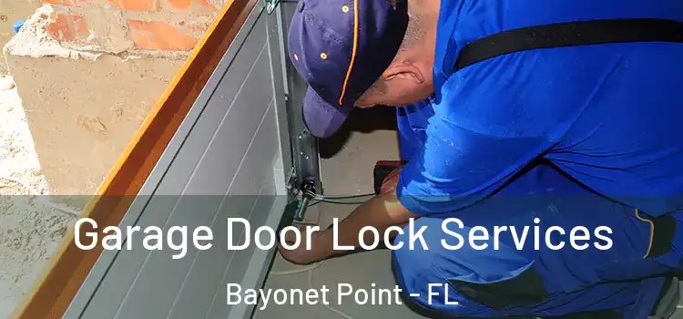 Garage Door Lock Services Bayonet Point - FL