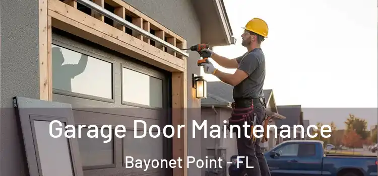 Garage Door Maintenance Bayonet Point - FL