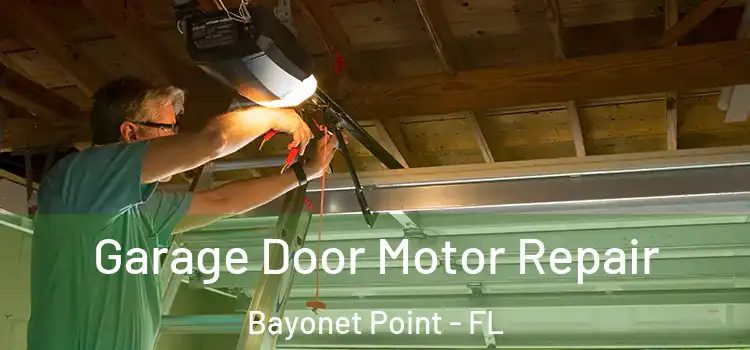  Garage Door Motor Repair Bayonet Point - FL