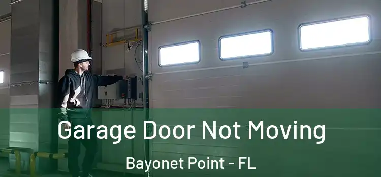  Garage Door Not Moving Bayonet Point - FL