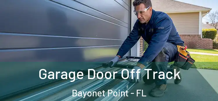  Garage Door Off Track Bayonet Point - FL