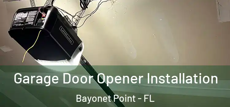  Garage Door Opener Installation Bayonet Point - FL