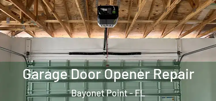  Garage Door Opener Repair Bayonet Point - FL