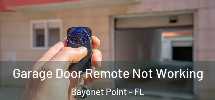  Garage Door Remote Not Working Bayonet Point - FL