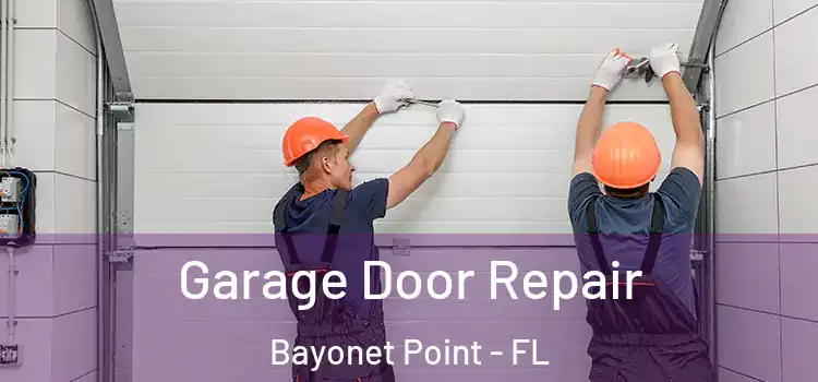  Garage Door Repair Bayonet Point - FL