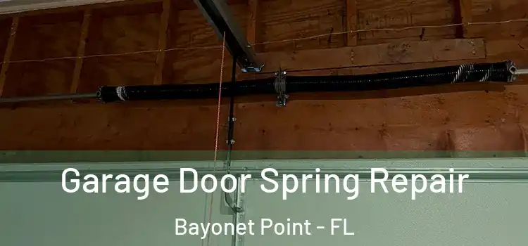  Garage Door Spring Repair Bayonet Point - FL