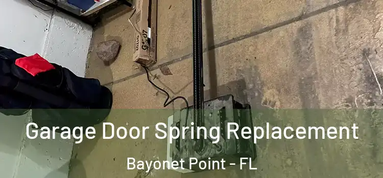  Garage Door Spring Replacement Bayonet Point - FL