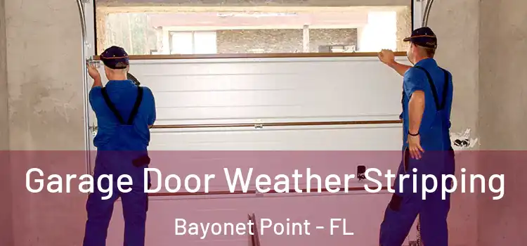  Garage Door Weather Stripping Bayonet Point - FL