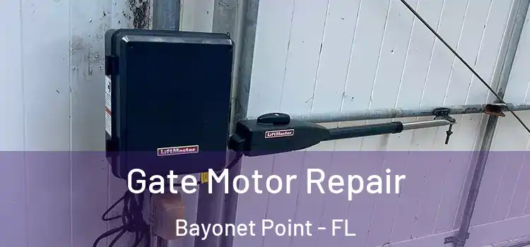 Gate Motor Repair Bayonet Point - FL