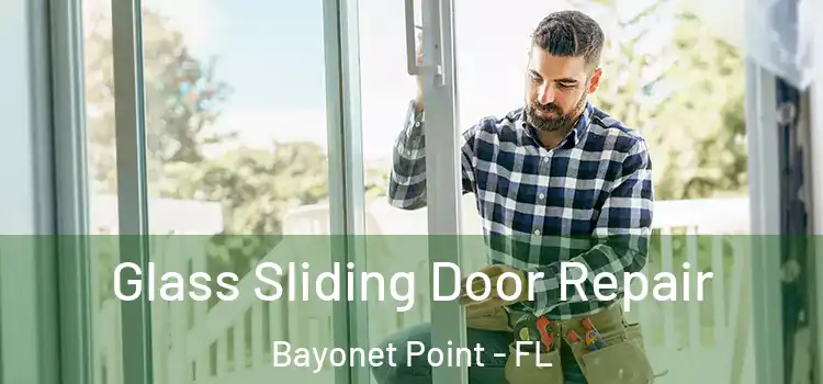 Glass Sliding Door Repair Bayonet Point - FL