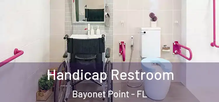  Handicap Restroom Bayonet Point - FL