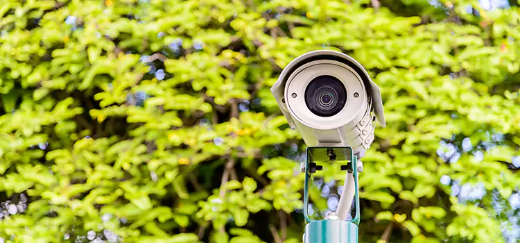 Advanced Surveillance Solutions for Every Need in Bayonet Point