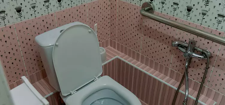 Meeting Diverse Needs With Accessible Restroom Solutions in Bayonet Point, FL