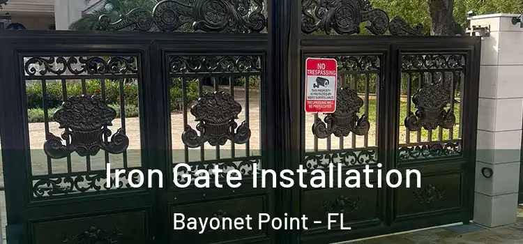 Iron Gate Installation Bayonet Point - FL