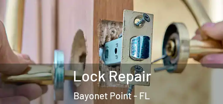 Lock Repair Bayonet Point - FL