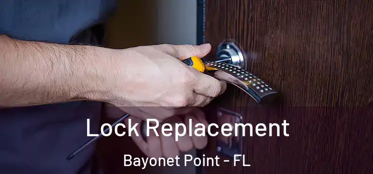 Lock Replacement Bayonet Point - FL