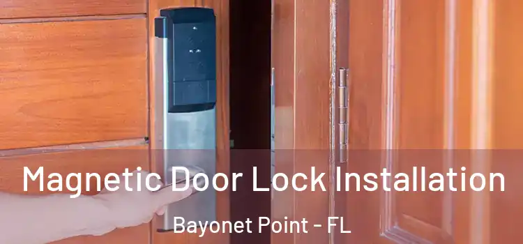  Magnetic Door Lock Installation Bayonet Point - FL