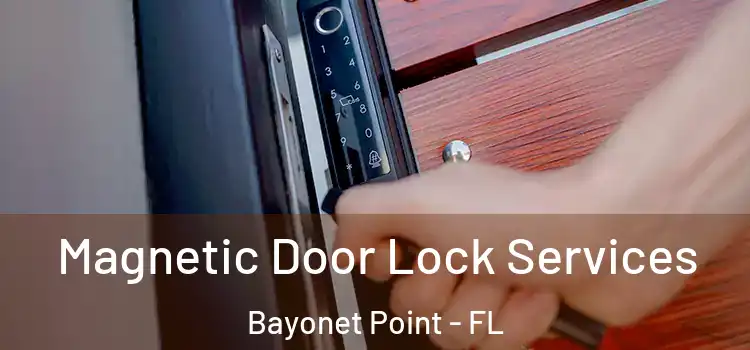 Magnetic Door Lock Services Bayonet Point - FL