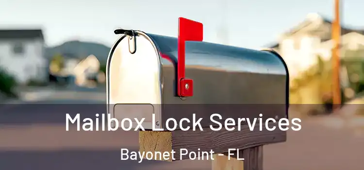  Mailbox Lock Services Bayonet Point - FL
