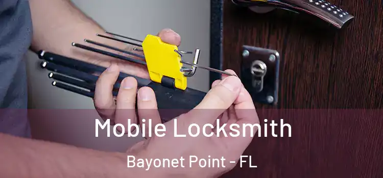  Mobile Locksmith Bayonet Point - FL