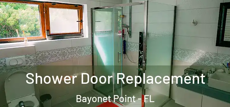 Shower Door Replacement Bayonet Point - FL