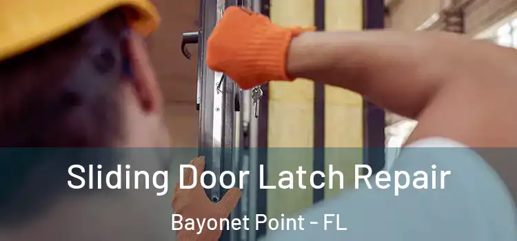 Sliding Door Latch Repair Bayonet Point - FL