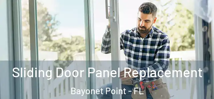  Sliding Door Panel Replacement Bayonet Point - FL