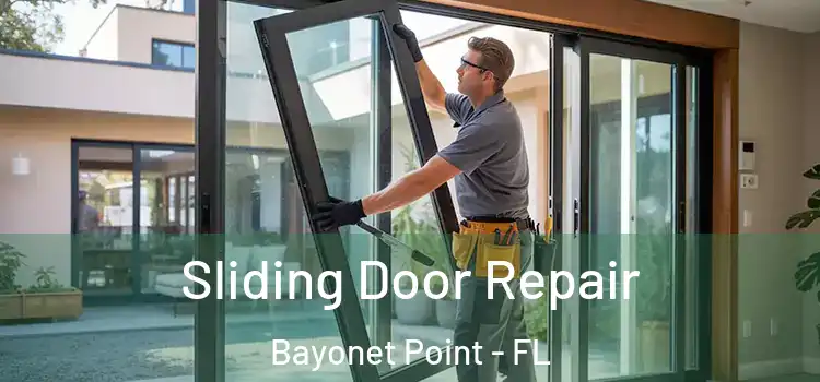 Sliding Door Repair Bayonet Point - FL