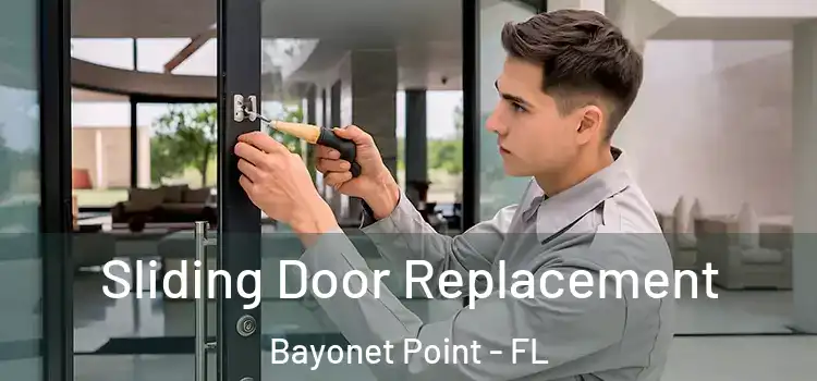 Sliding Door Replacement Bayonet Point - FL
