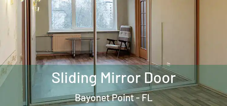  Sliding Mirror Door Bayonet Point - FL