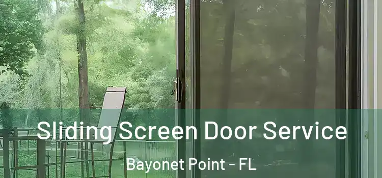 Sliding Screen Door Service Bayonet Point - FL