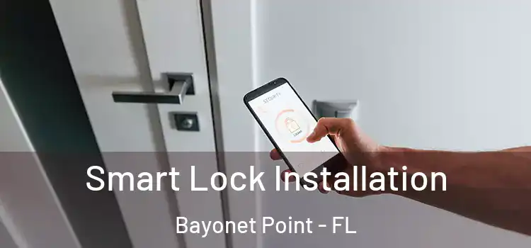 Smart Lock Installation Bayonet Point - FL